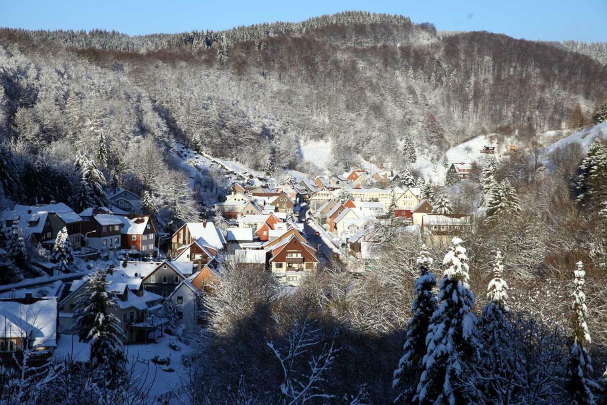 Fewo-Lerbachtal Osterode am Harz Экстерьер фото