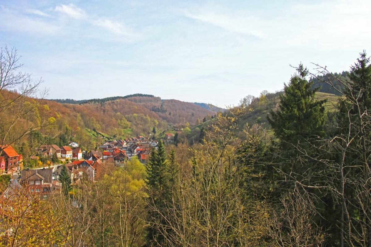 Fewo-Lerbachtal Osterode am Harz Экстерьер фото